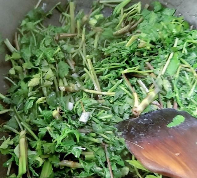 原料:野芹菜,大蒜,油,盐,鸡精. 做法步骤: 第5步,出锅.