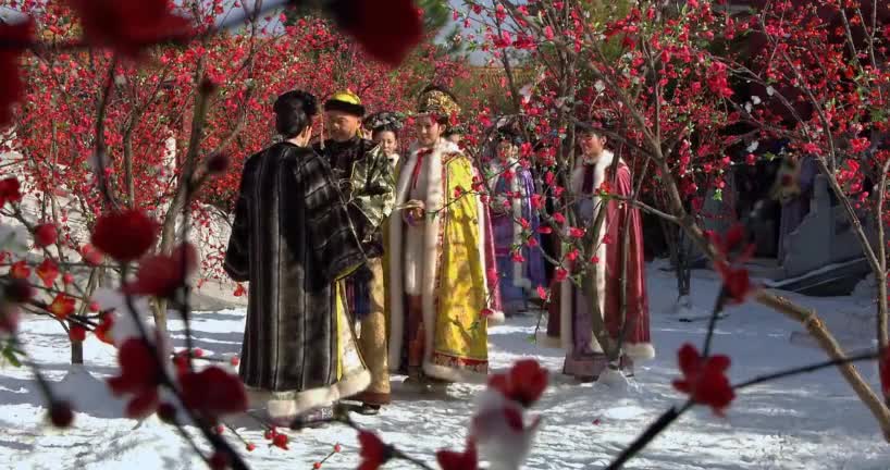 甄嬛小产失宠后再次在倚梅园的雪地里复宠