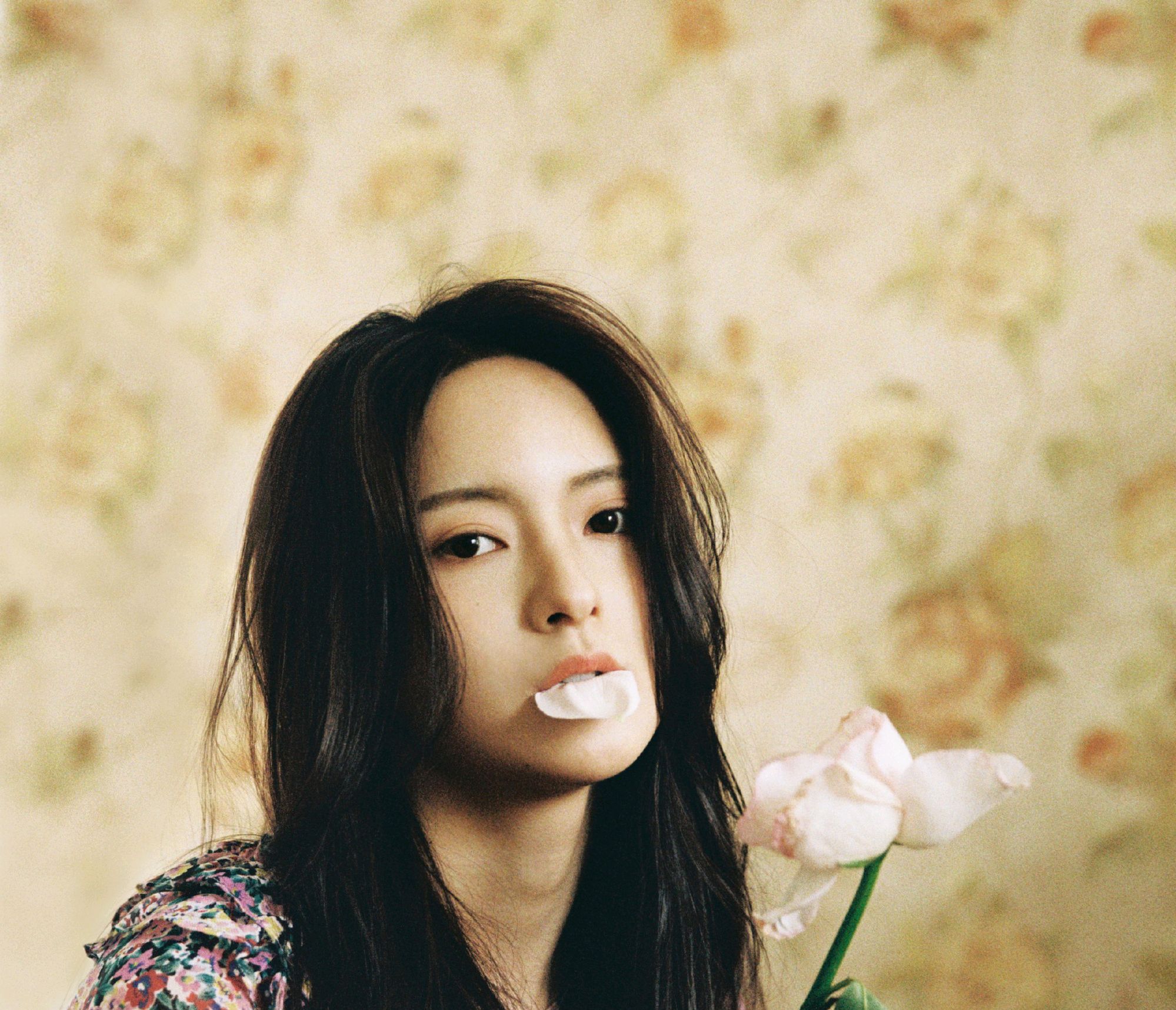 明星写真美图|孙安可