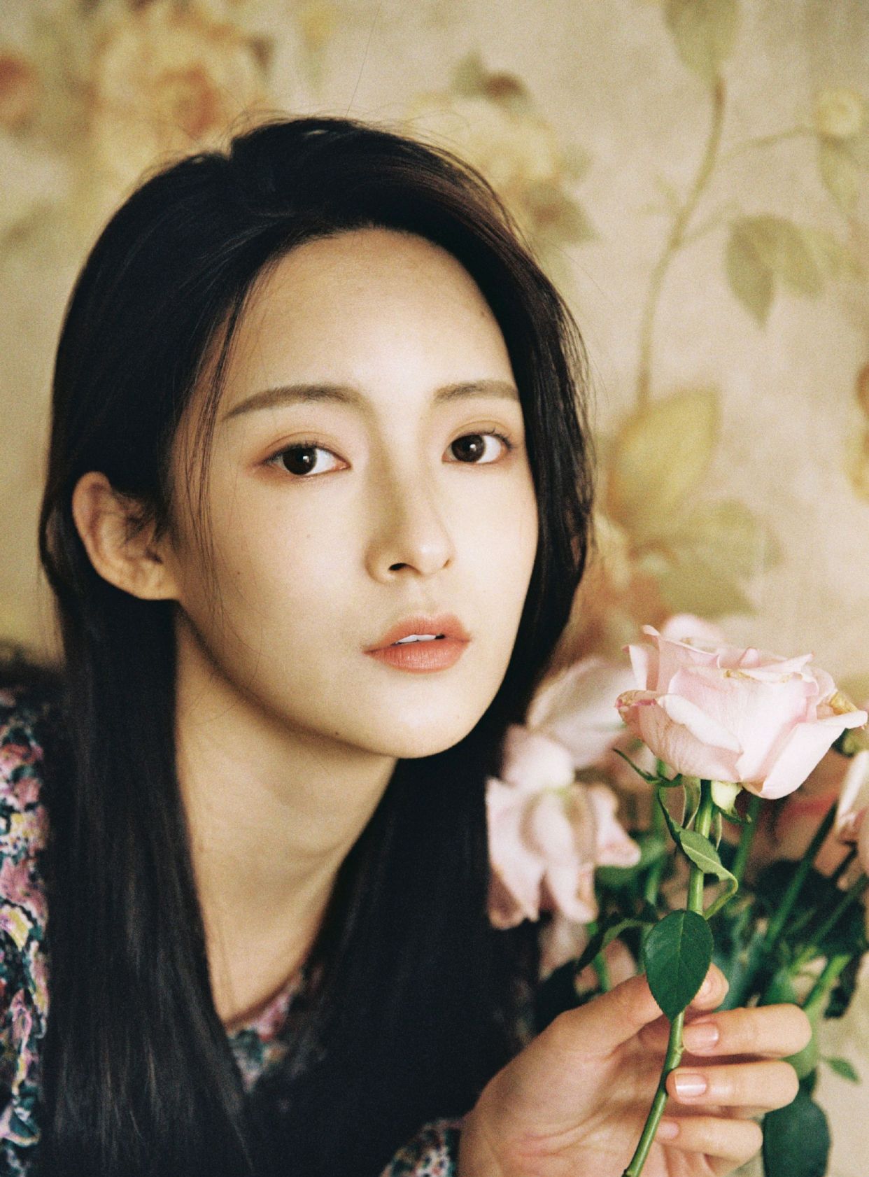 明星写真美图|孙安可