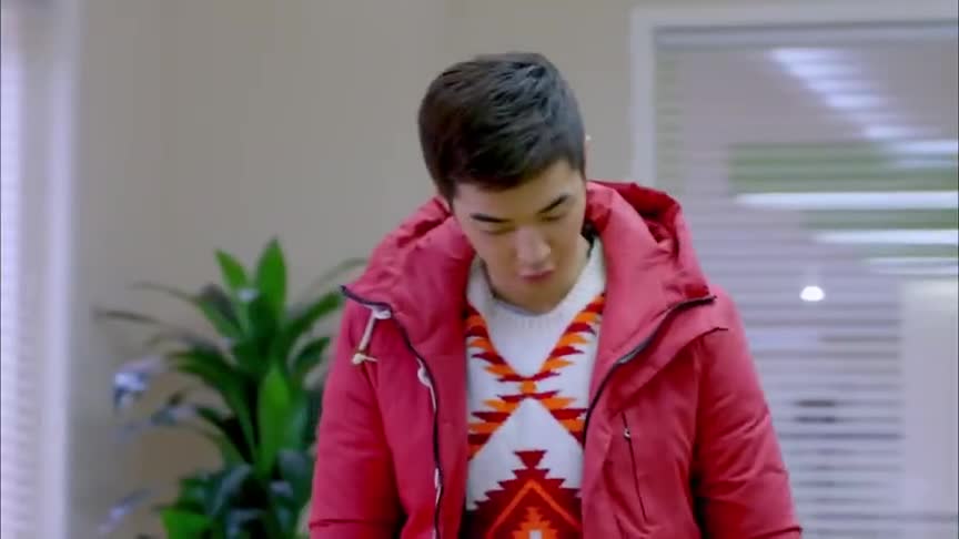 神犬小七:贾长安放弃小七的抚养权,悔过自新