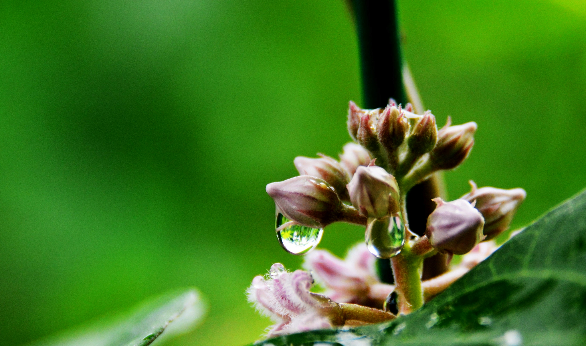 雨后乡村的早晨