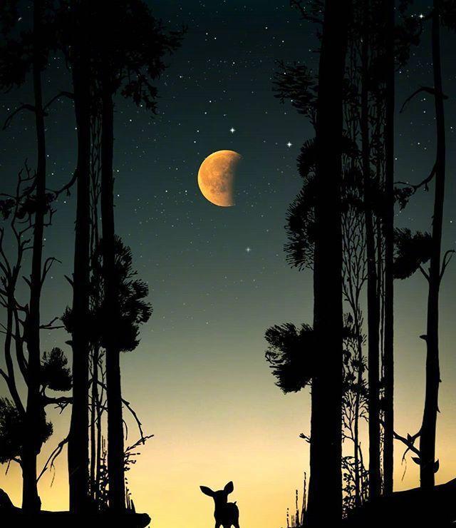 适合深更半夜发朋友圈的说说痛心入骨令人心碎