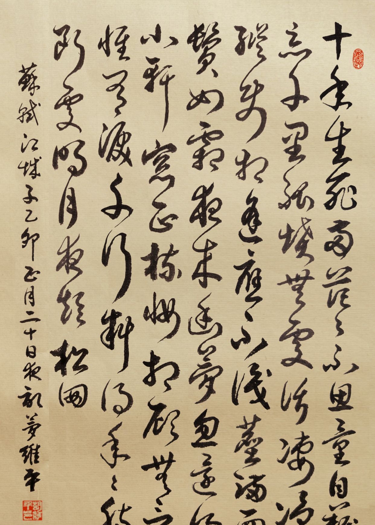 草书名家胡维平作品苏轼 江城子 乙卯正月二十日夜记梦 高清图集 新浪网