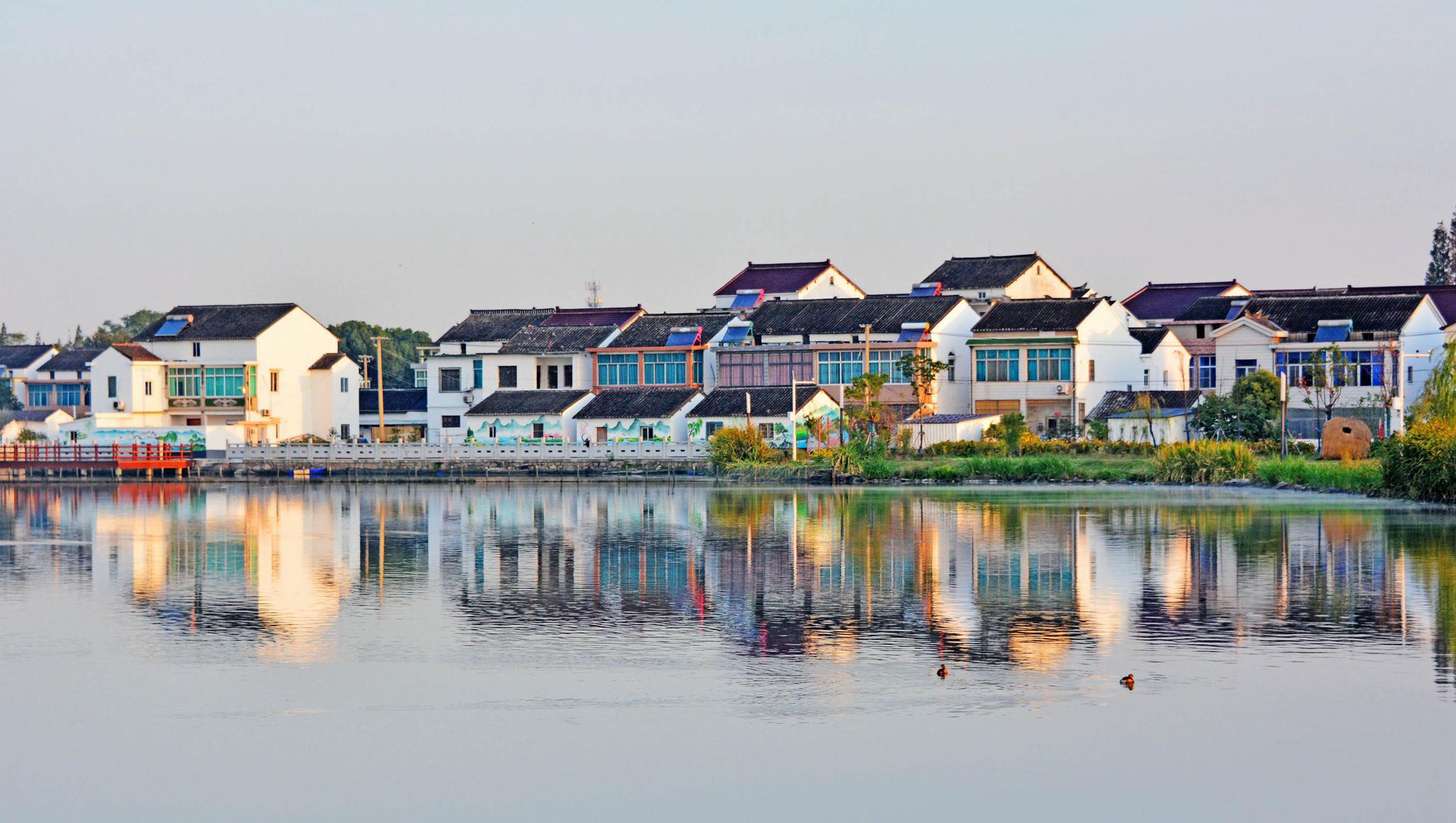 江苏特色田园乡村鹅湖村 乡村颜值大提升 田园像公园 家园成花园