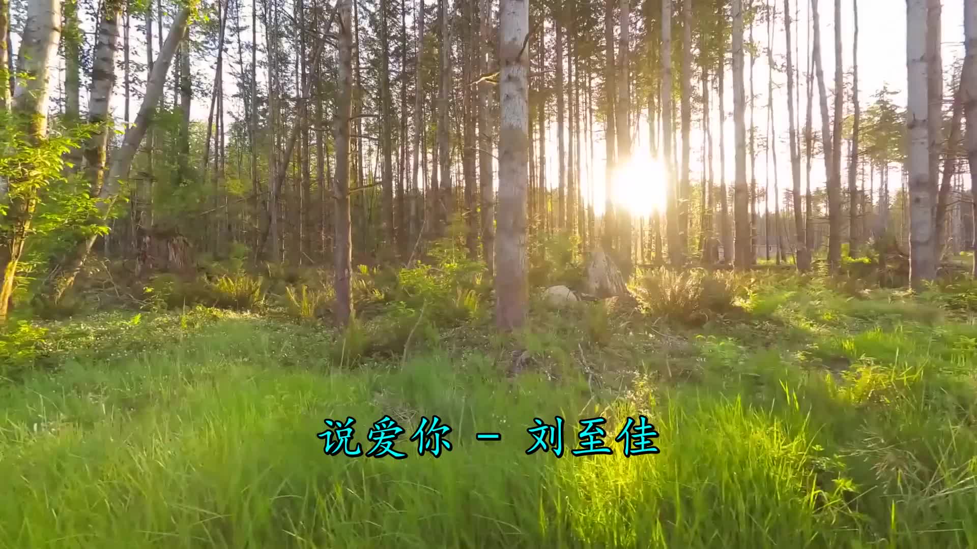 哈哈《刘至佳-说爱你》太好看了