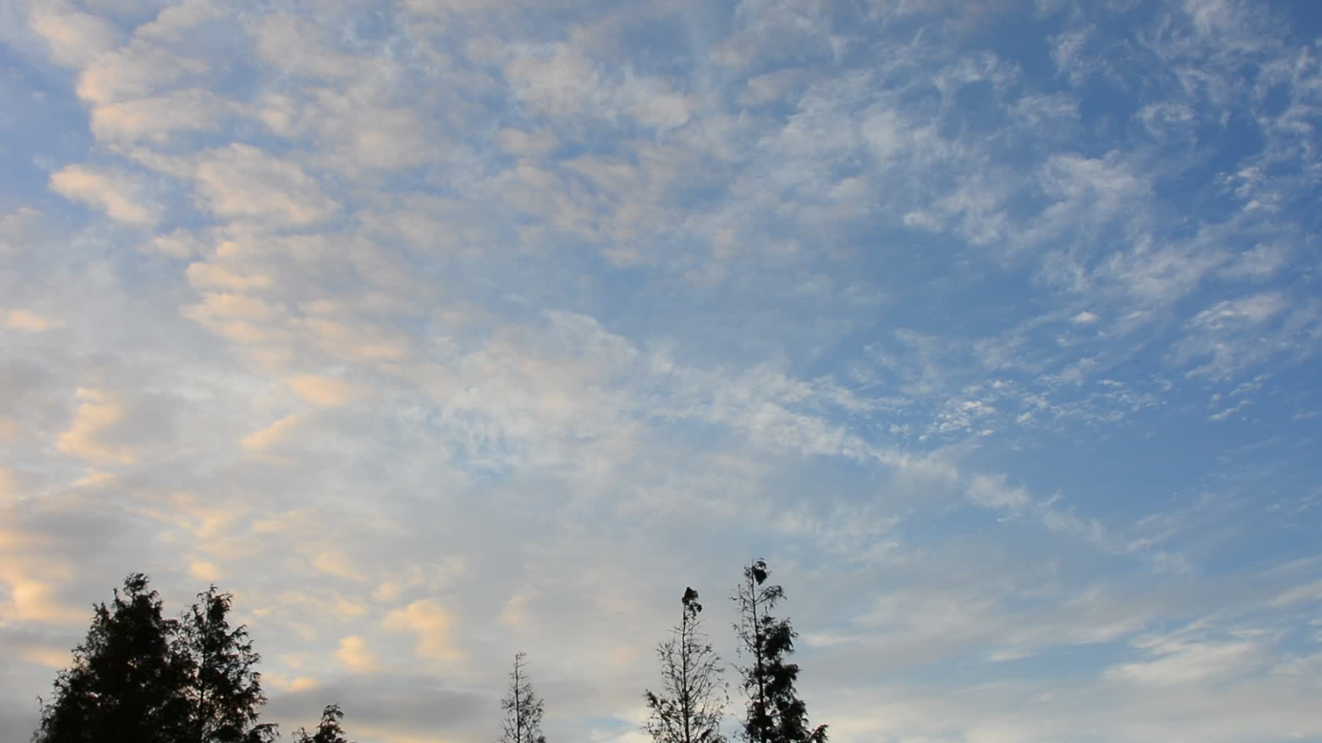 秋日雨后乡村的早晨