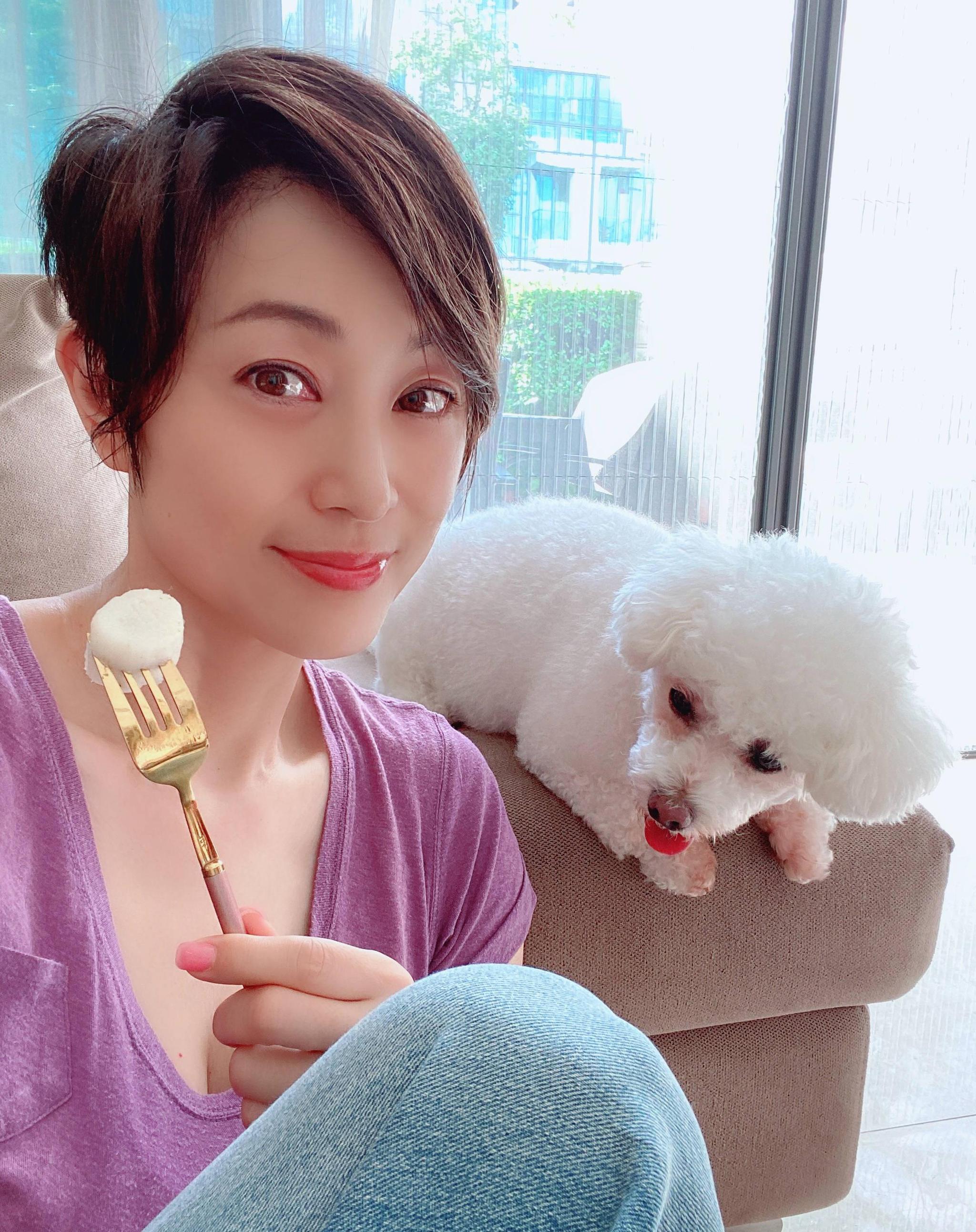 陈法蓉的香港上亿豪宅!独栋别墅带花园,萌宠为伴生活真惬意