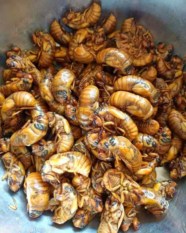 山东"重口味"的5种美食,一般人想都不敢想,你吃过几种?__财经头条