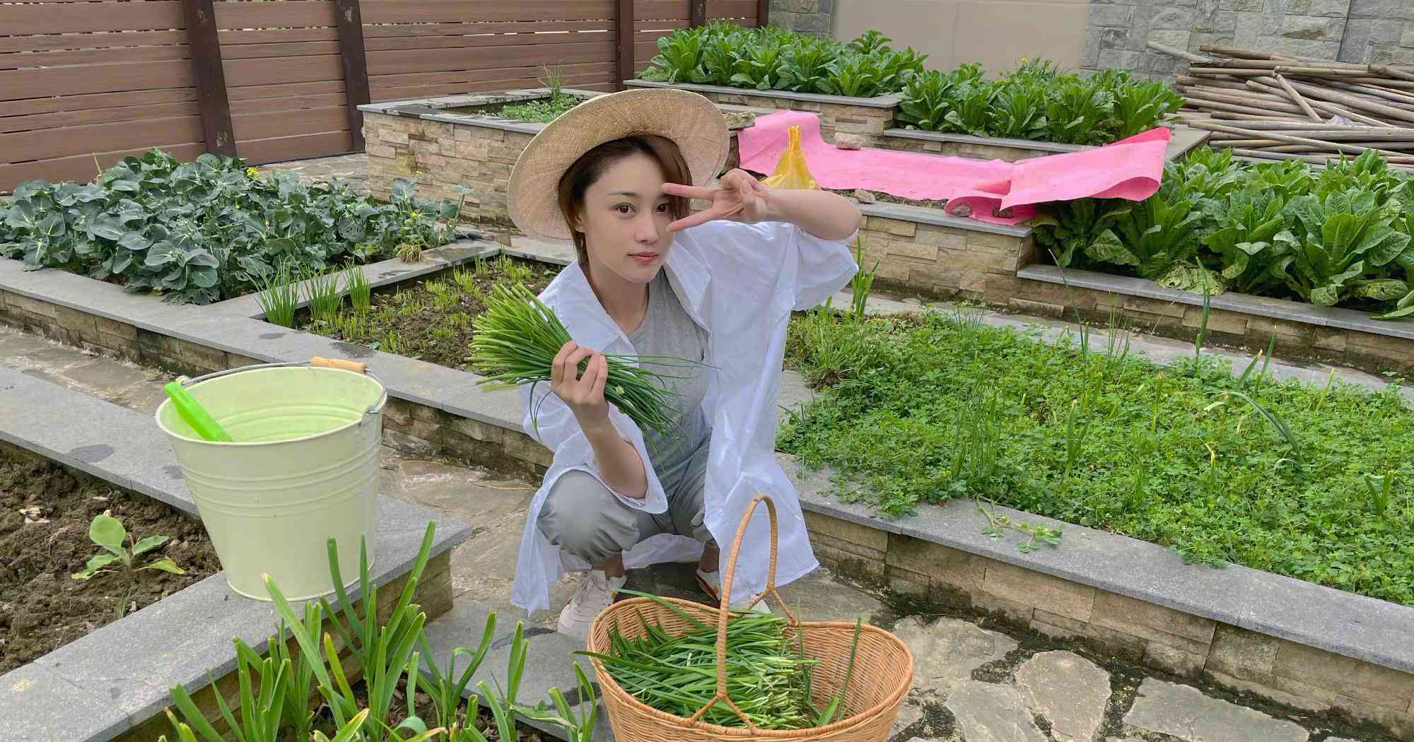 当军嫂之后变得贤惠,张馨予在自家院子种绿色蔬菜,状态惹人羡