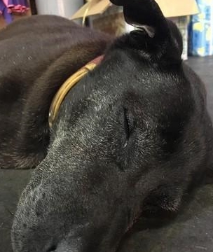 新闻搜索_新浪搜索_新浪网