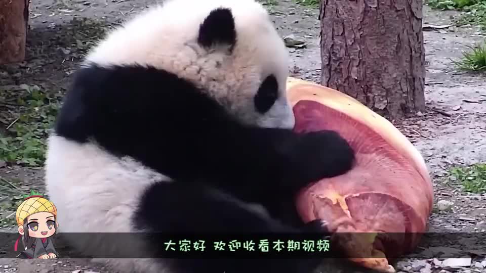 这表情动作也太像人类了吧,镜头记录全程 01:04 男子在船上喝酒,转头