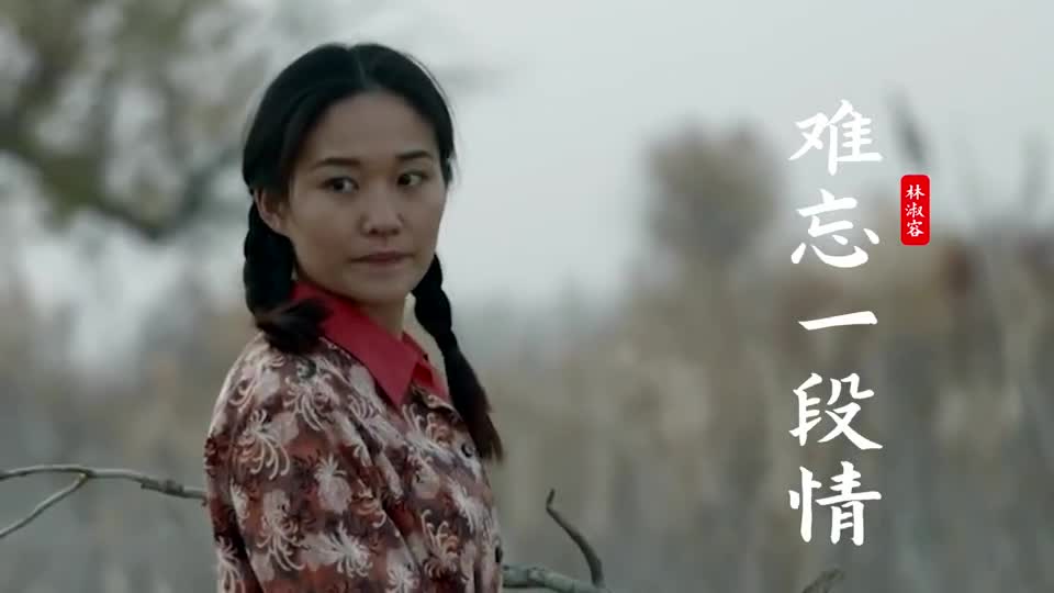 林淑容一首《难忘一段情》,情意绵绵,歌声动人心魄,回味无穷!
