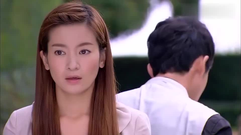 花非花雾非雾叶凡苦苦挽回爱情齐飞却充满委屈自称心已死了