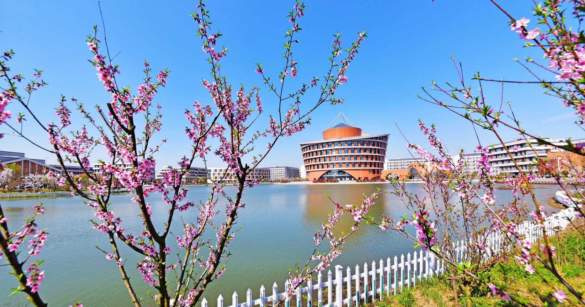 无锡滨江学院春日风采