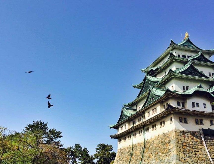 名古屋城最是日本旅游城市中最值得一去的城堡 高清图集 新浪网