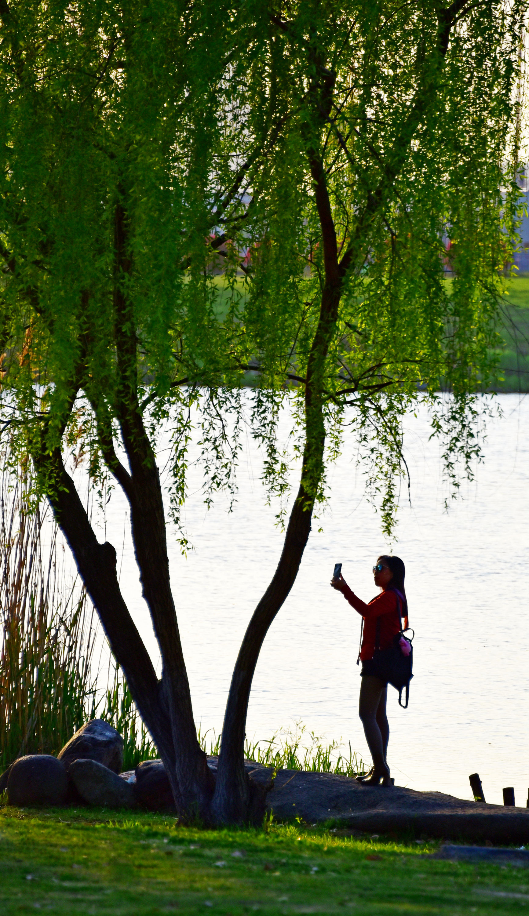 春天的夕阳,柔和温馨.微风湖畔,诗和远方,宁静祥和.