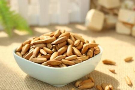 爱吃松子吗原来老人和小孩吃了有这些好处了解一下吧
