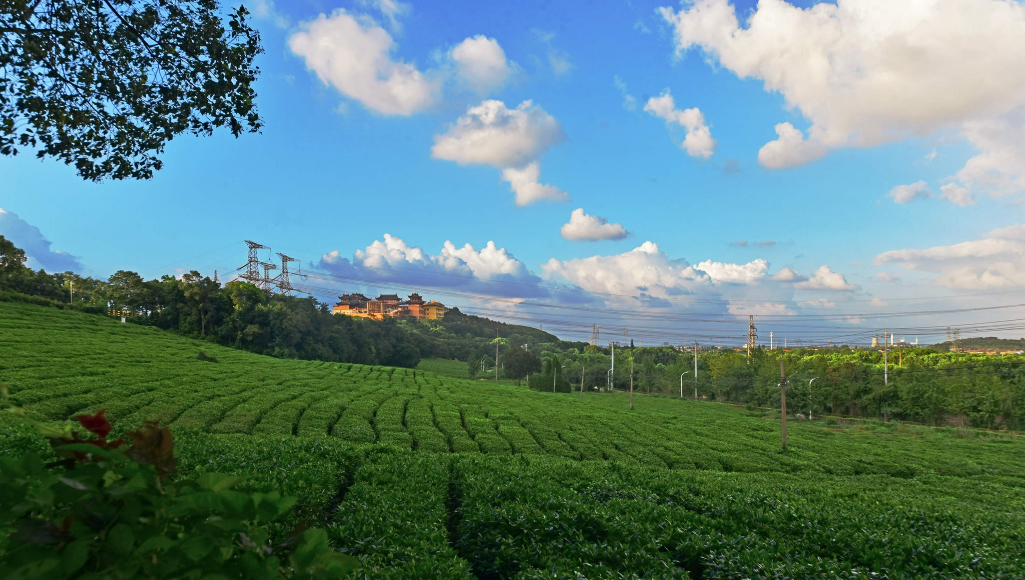 "烟花"风云多变幻,2021年07月22日,江苏无锡锡山区锡北镇斗山