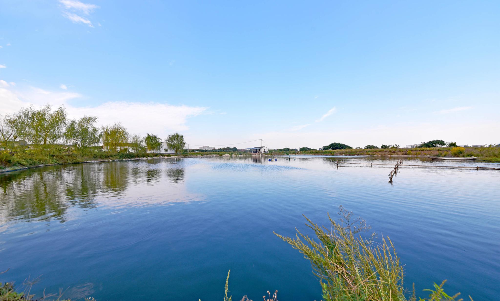 江苏特色田园乡村鹅湖村 乡村颜值大提升 田园像公园 家园成花园