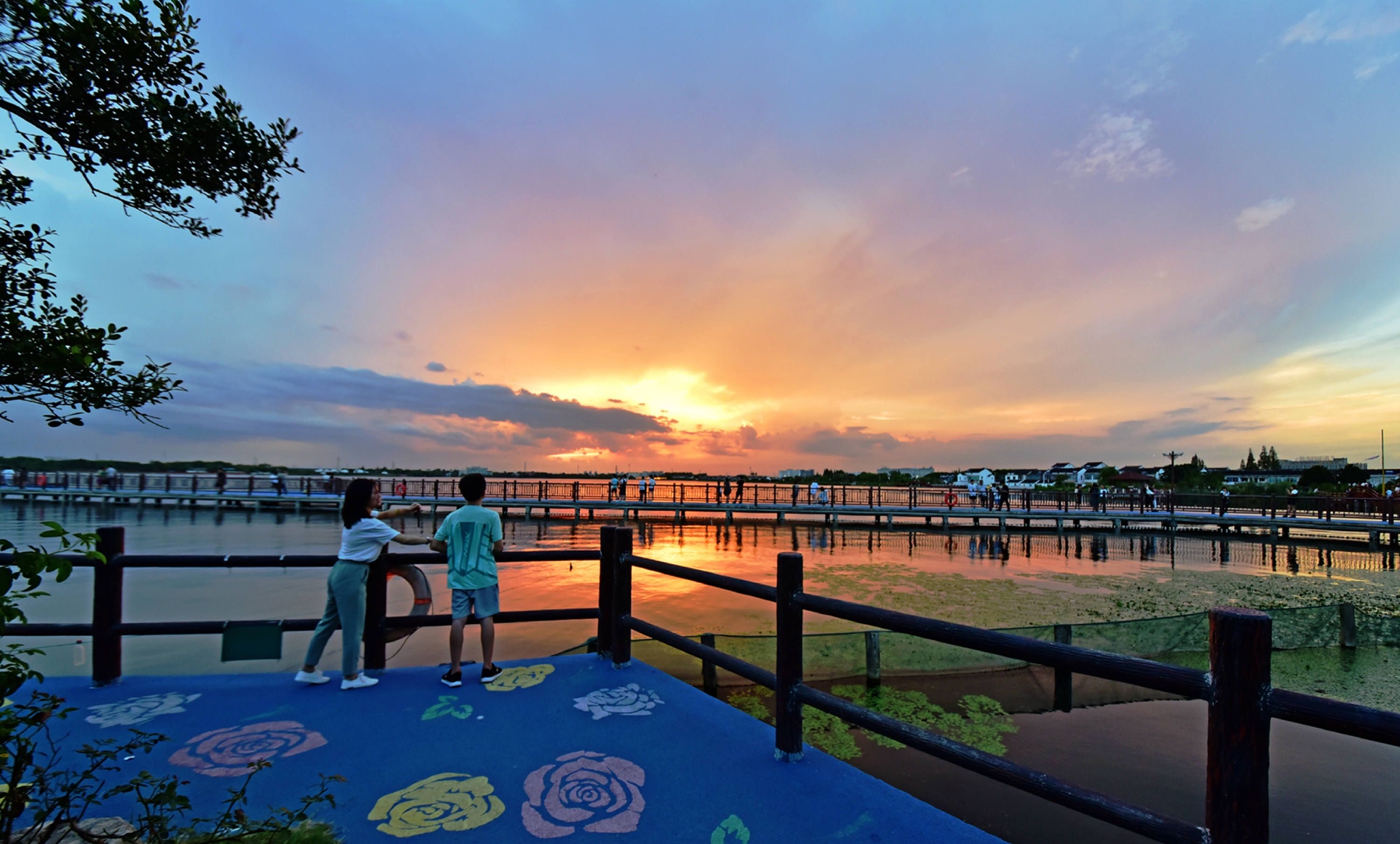 夕照鹅湖玫瑰园,无锡锡山区鹅湖镇,江苏省特色田园乡村—鹅湖村__财经