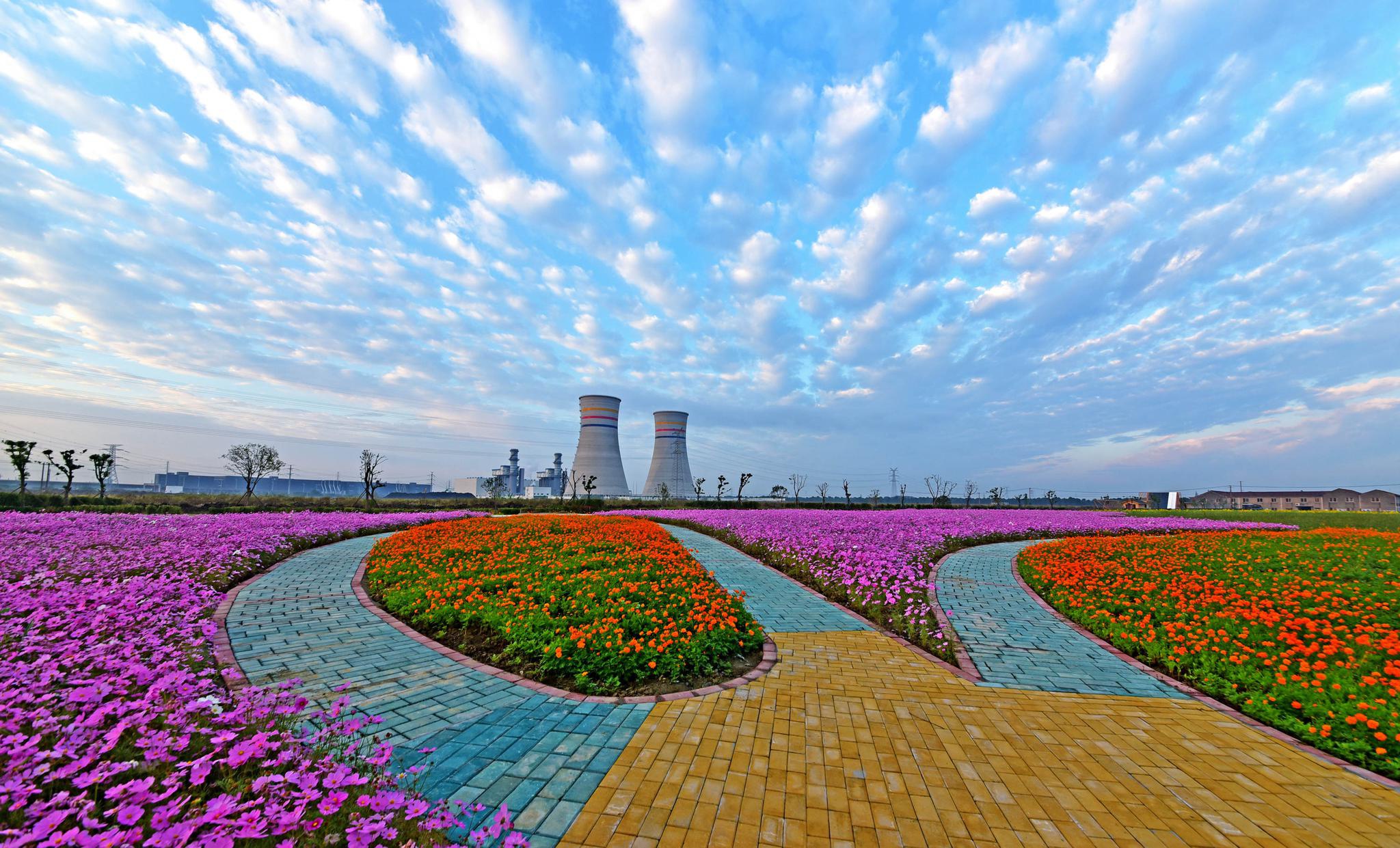 锡山迎晨曦花开朝霞里江苏无锡锡山区东港镇黄土塘