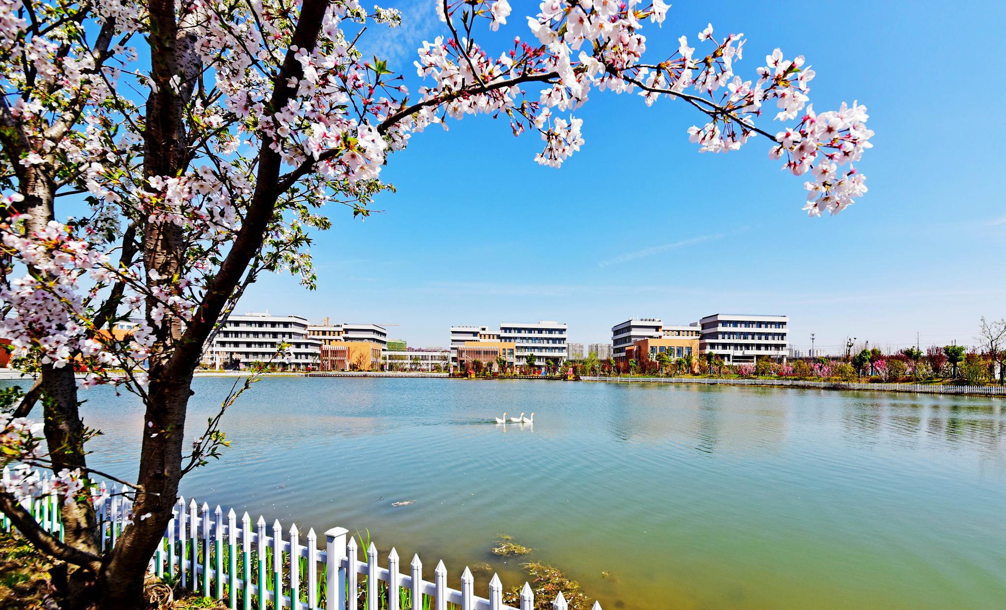 位于江苏无锡锡山区锡东新城的滨江学院,春满校园,跟着我的镜头感受
