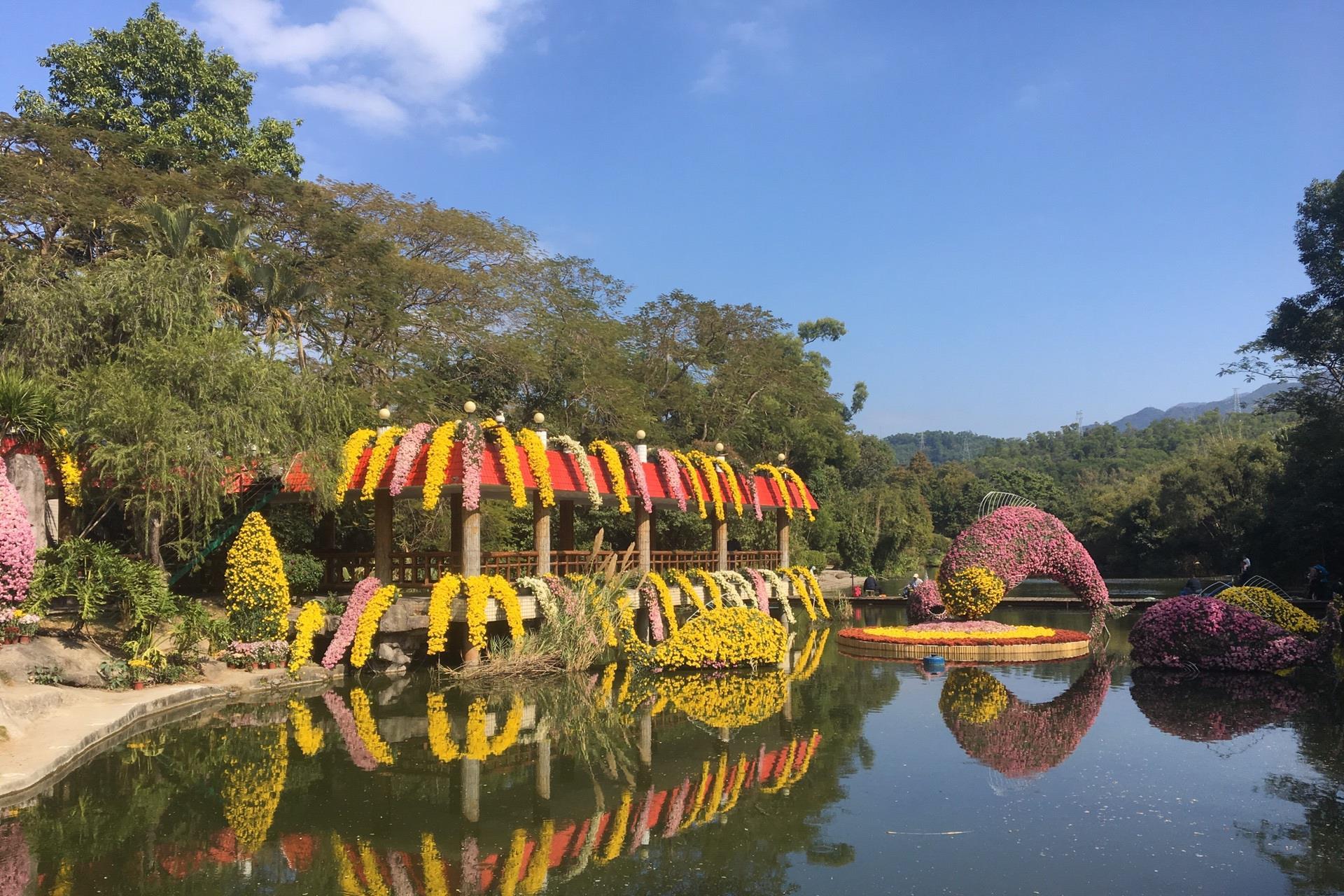 深圳一座163公顷公园,门票免费还能钓鱼,是休闲郊游好去处