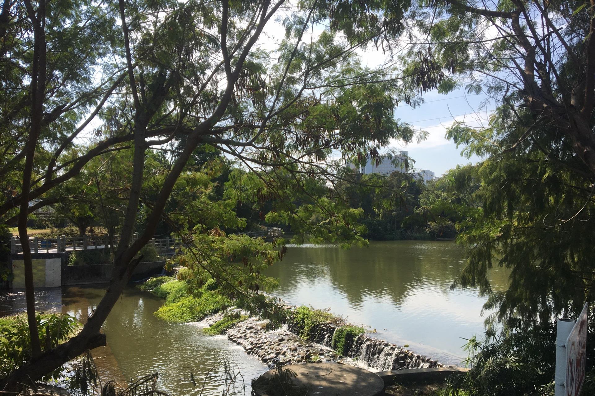 深圳一座163公顷公园,门票免费还能钓鱼,是休闲郊游好去处