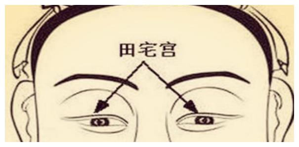 田宅宫即上眼皮的位置,而田宅宫顾名思义就是"田"与"宅",在日后的发展