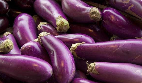 茄子吃的好 胜过十副药 还能美白抗衰老 会吃就是 赚到 茄子 肿瘤 消化道 新浪新闻