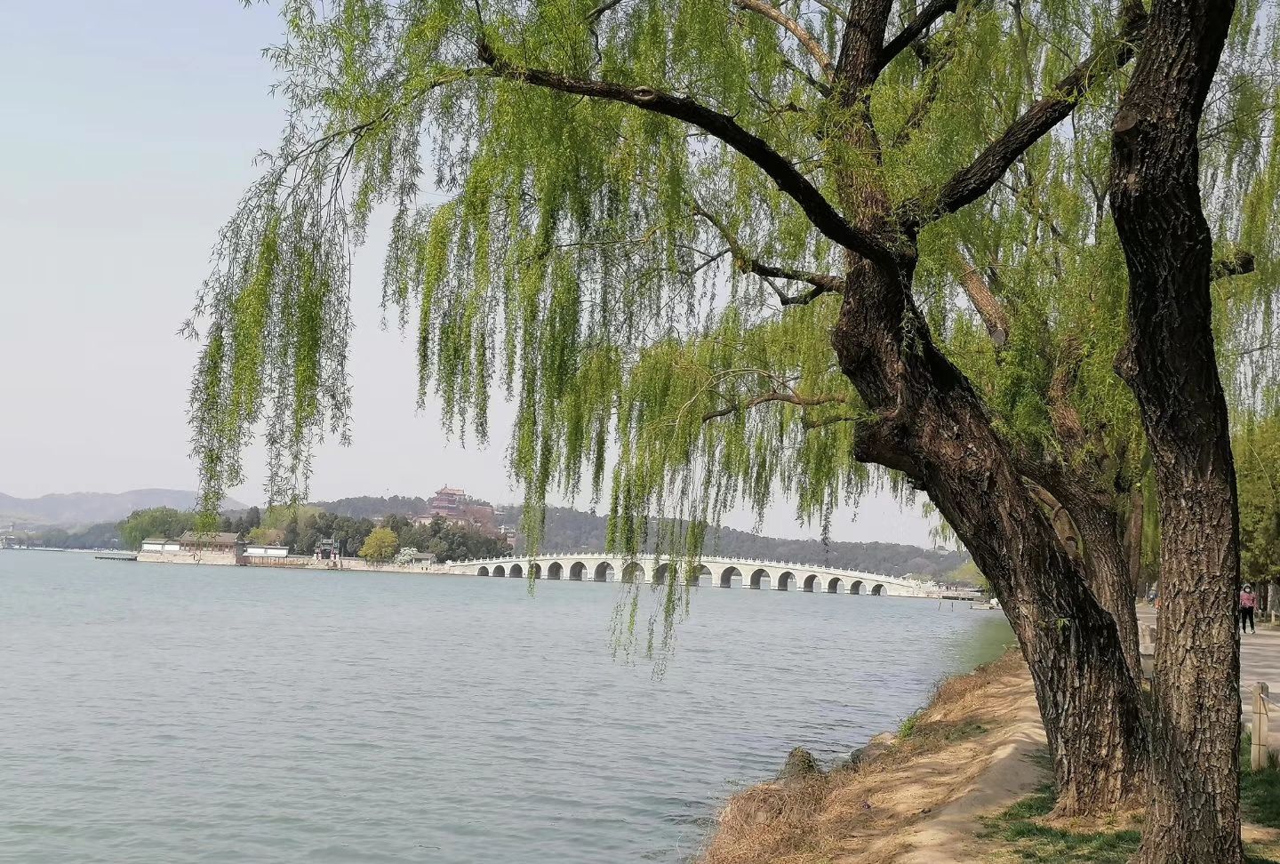 北京颐和园春天美景