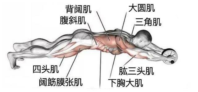 拥有彭于晏同款好身型不是难事，除了健身房，在家也能速成肌肉群