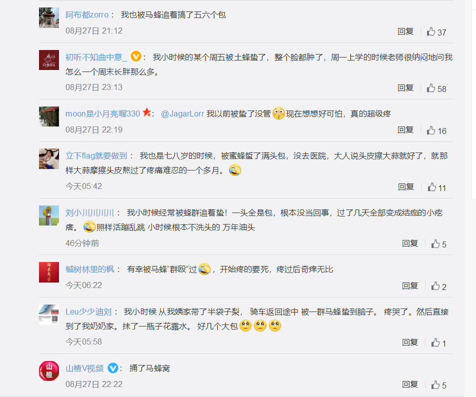 这是捅了马蜂窝?8岁男童头部被蜂群蜇伤40多处休闲区蓝鸢梦想 - Www.slyday.coM 这是捅了马蜂窝?8岁男童头部被蜂群蜇伤40多处休闲区蓝鸢梦想 - Www.slyday.coM