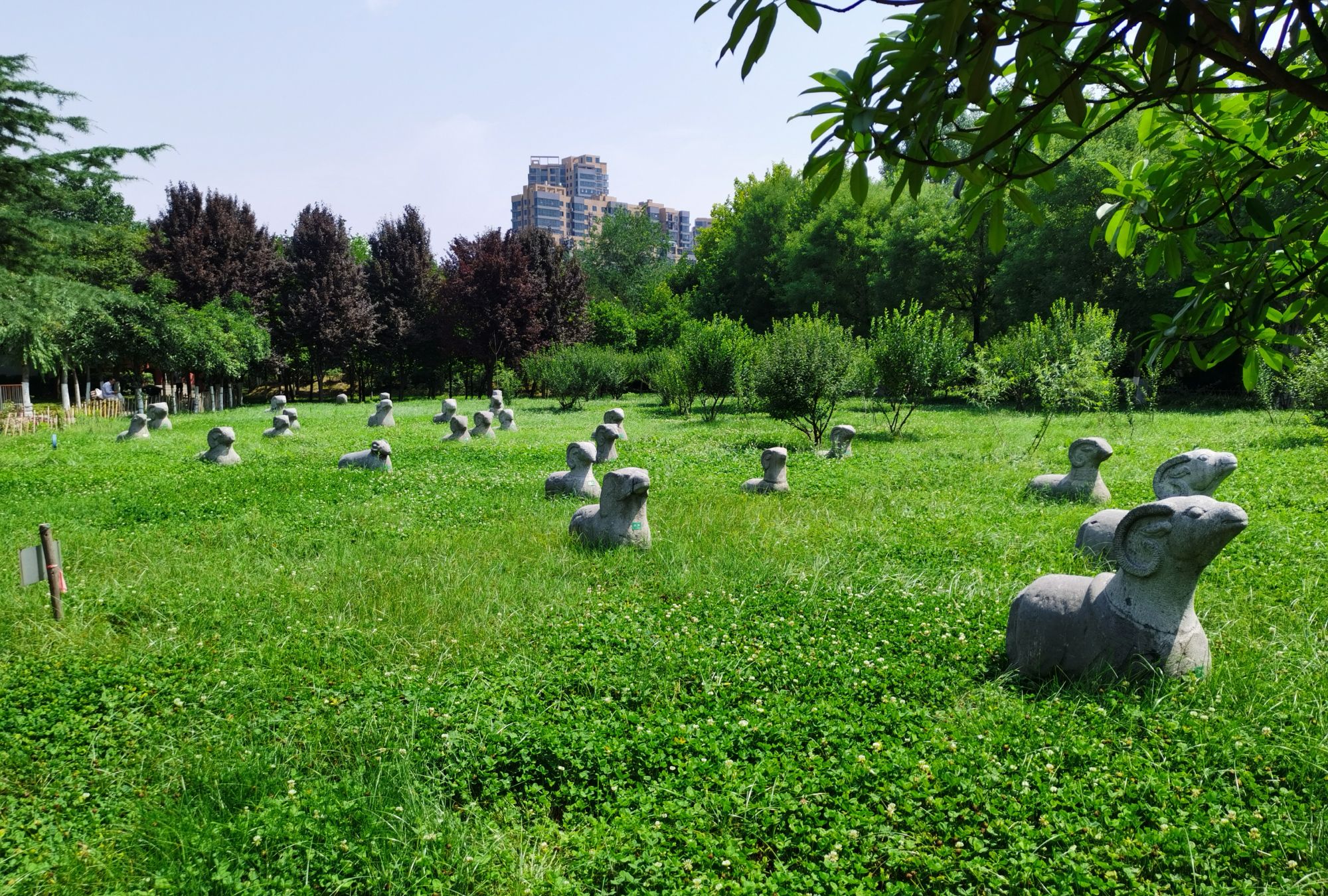 打卡咸阳市大型氧吧———沣河森林公园