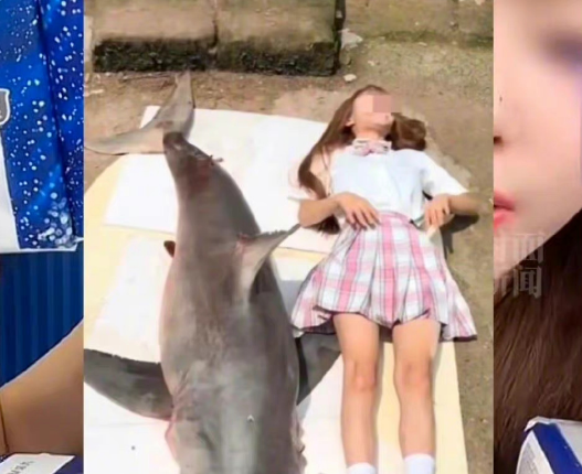 网红疑用大白鲨做美食,警方给出回应,提子或将面临五年有期徒刑休闲区蓝鸢梦想 - Www.slyday.coM 网红疑用大白鲨做美食,警方给出回应,提子或将面临五年有期徒刑休闲区蓝鸢梦想 - Www.slyday.coM