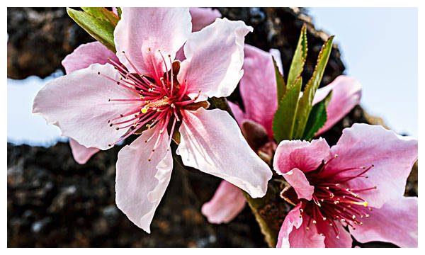 今后3个月的财运横飞,事业的收获多,这3大生肖腰杆相连休闲区蓝鸢梦想 - Www.slyday.coM 今后3个月的财运横飞,事业的收获多,这3大生肖腰杆相连休闲区蓝鸢梦想 - Www.slyday.coM