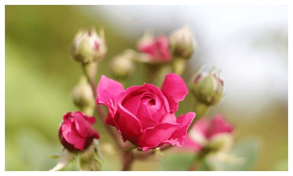 10月中旬,运势回归,事业爱丰收的4个星座休闲区蓝鸢梦想 - Www.slyday.coM 10月中旬,运势回归,事业爱丰收的4个星座休闲区蓝鸢梦想 - Www.slyday.coM