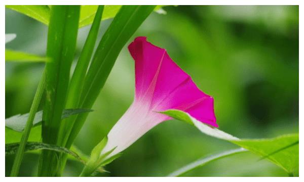 10月中旬,喜事继续,真爱袭击,守护余生的四个星座!休闲区蓝鸢梦想 - Www.slyday.coM 10月中旬,喜事继续,真爱袭击,守护余生的四个星座!休闲区蓝鸢梦想 - Www.slyday.coM