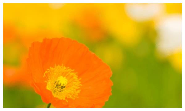 今后3个月,贵人多,财运多,喜事多的4大生肖休闲区蓝鸢梦想 - Www.slyday.coM 今后3个月,贵人多,财运多,喜事多的4大生肖休闲区蓝鸢梦想 - Www.slyday.coM