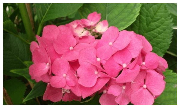 9月爱之神丘比特，一箭穿透心灵，燃起爱之火，幸福降临三生肖休闲区蓝鸢梦想 - Www.slyday.coM