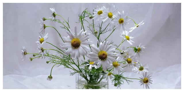 6月28日到7月7日 四大星座乐于助人 夫唱妇随 机智健谈 巨蟹座 双鱼座 射手座 新浪新闻