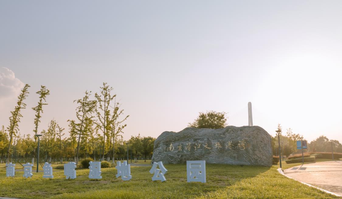 南京隐藏一座免费公园,面积64万平米,在三江交汇处,悠闲静谧