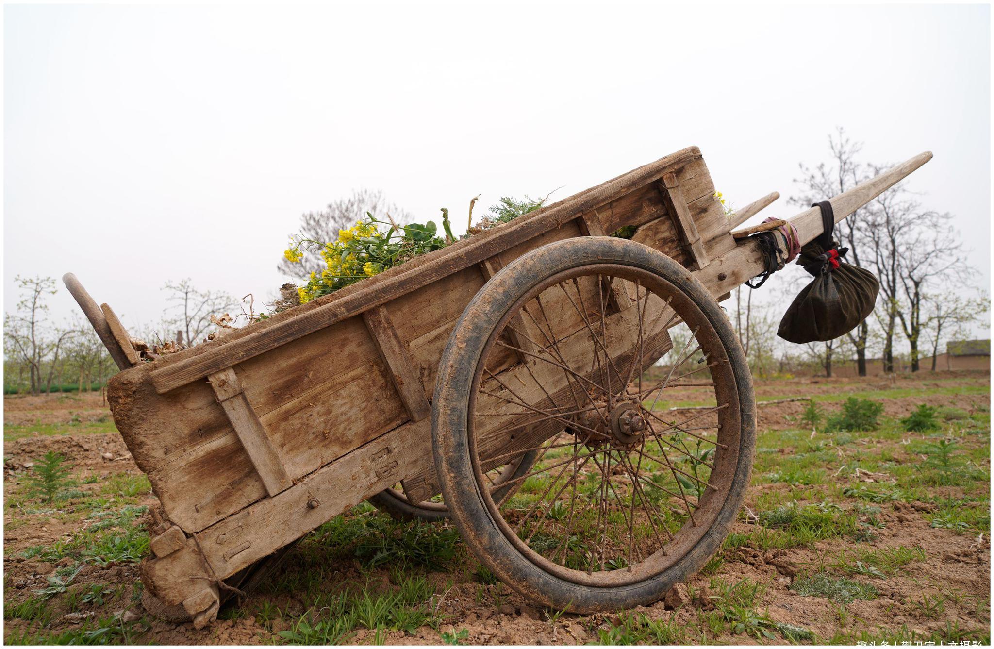 山西农民大叔40年前70元买下拉拉车至今还在使用啥样子