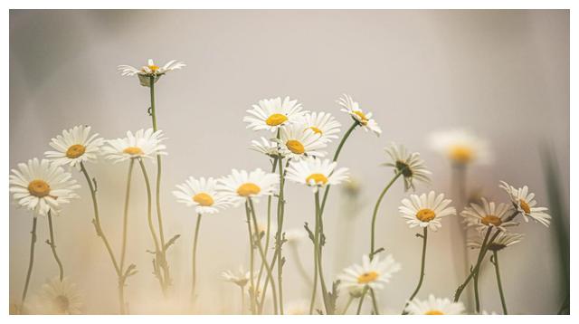 天蝎座2022年5月发展,会面对选择,可能是二选一的局面休闲区蓝鸢梦想 - Www.slyday.coM 天蝎座2022年5月发展,会面对选择,可能是二选一的局面休闲区蓝鸢梦想 - Www.slyday.coM