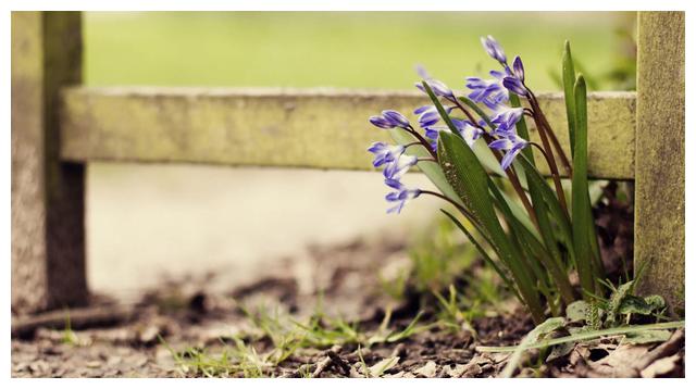 天蝎座2022年5月发展,会面对选择,可能是二选一的局面休闲区蓝鸢梦想 - Www.slyday.coM 天蝎座2022年5月发展,会面对选择,可能是二选一的局面休闲区蓝鸢梦想 - Www.slyday.coM