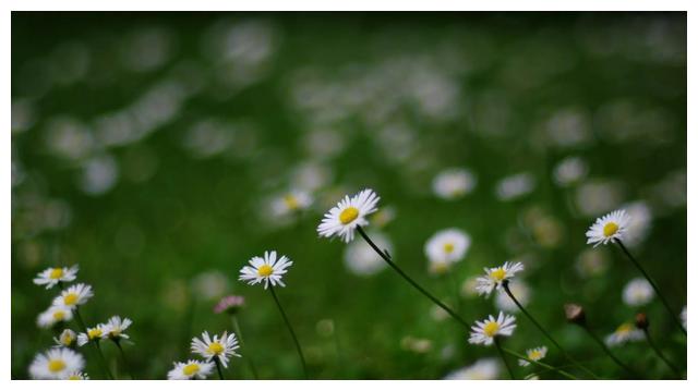 天蝎座2022年5月发展,会面对选择,可能是二选一的局面休闲区蓝鸢梦想 - Www.slyday.coM 天蝎座2022年5月发展,会面对选择,可能是二选一的局面休闲区蓝鸢梦想 - Www.slyday.coM