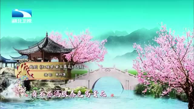 越剧红楼梦黛玉葬花选段单仰萍唱的真棒丨戏码头