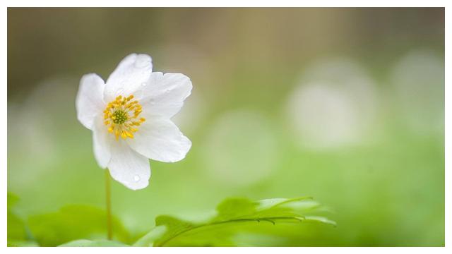 7月1日至7月10日 四大星座把握商机 腰缠十万贯 非常有责任心 商机 财运 摩羯座 新浪新闻