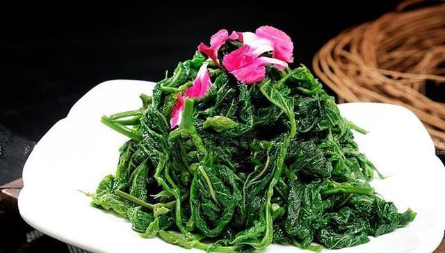 桑芽菜的三种做法,馋哭隔壁小孩,知道功效后大人也忍不住了!